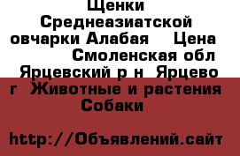 Щенки Среднеазиатской овчарки(Алабая) › Цена ­ 10 000 - Смоленская обл., Ярцевский р-н, Ярцево г. Животные и растения » Собаки   